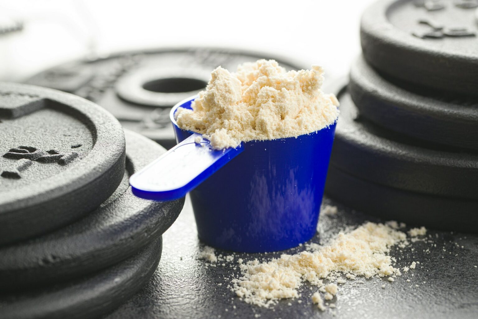 Whey vs Plant Protein – Which is Better?
